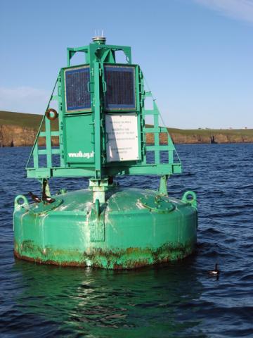 Roakbuoy.jpg